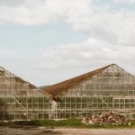 Essential Greenhouse Equipment for Successful Gardening
