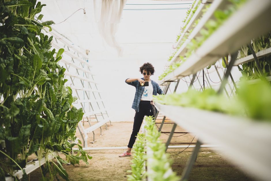 vertical farming technology