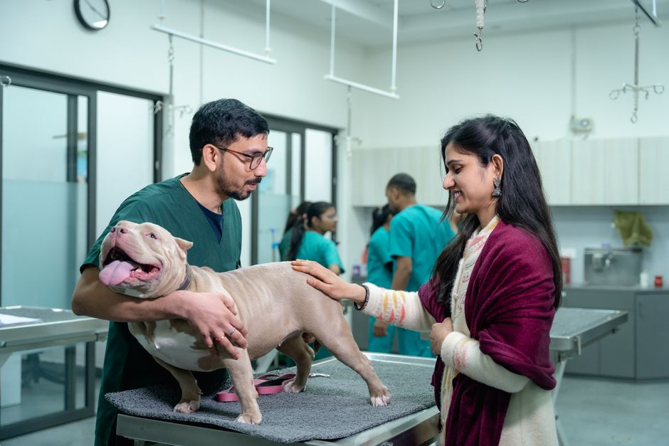 clínica veterinaria reserva