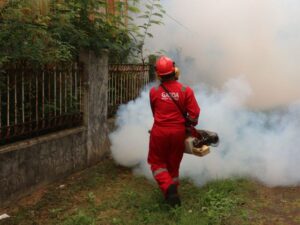 empresa control de plagas